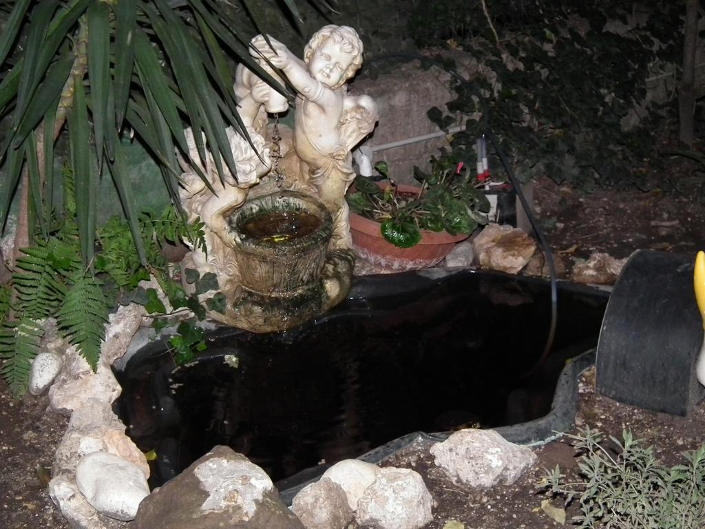 Aladino Inn Rome Exterior photo